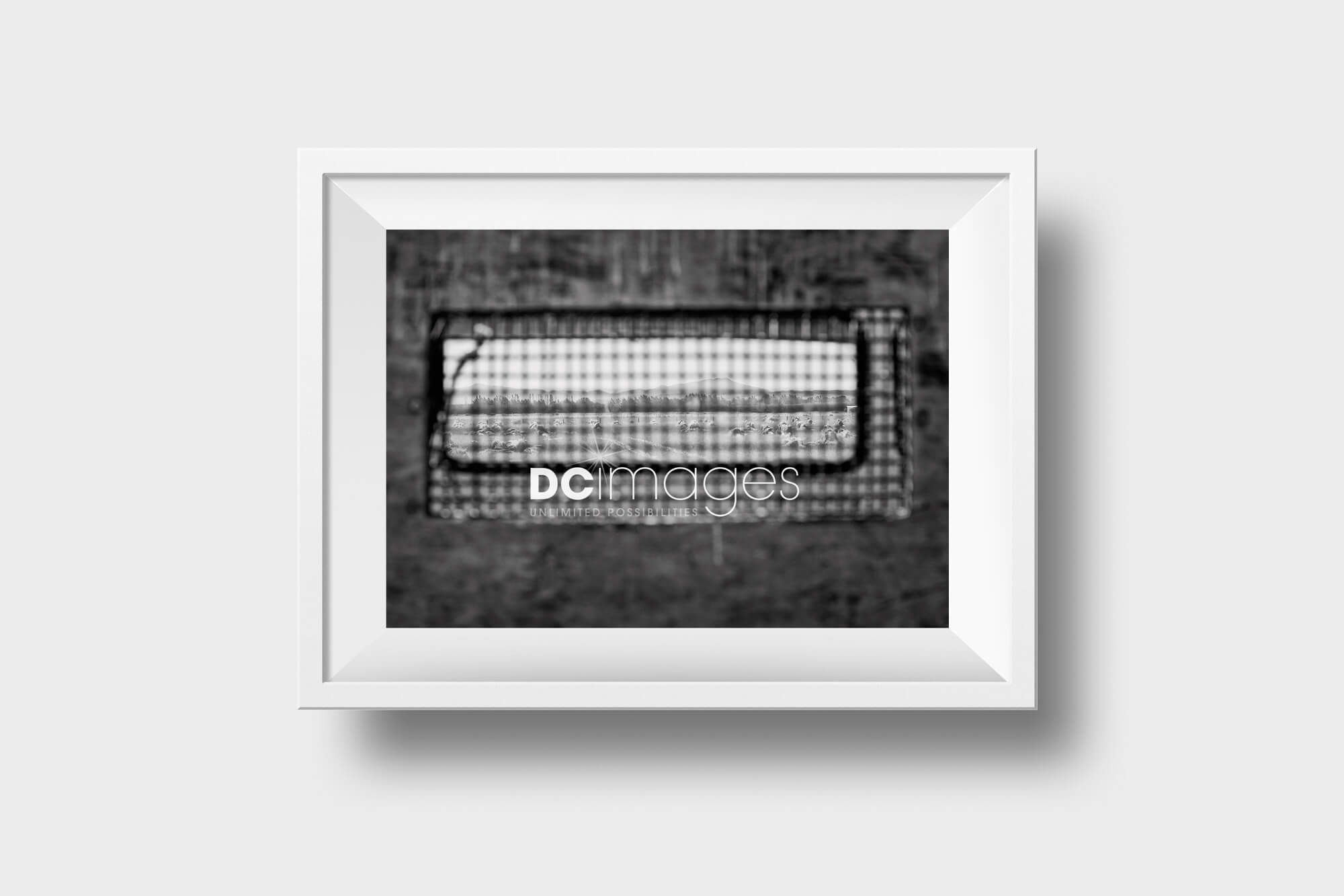 DC Images - Fine Art Prints